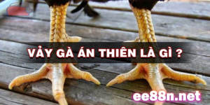 Vảy gà Án Thiên: Đặc điểm, ý nghĩa và phân biệt với vảy Phủ Địa, Vấn Cán