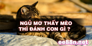 Giải mã giấc mơ thấy mèo: Điềm lành hay điềm gở?